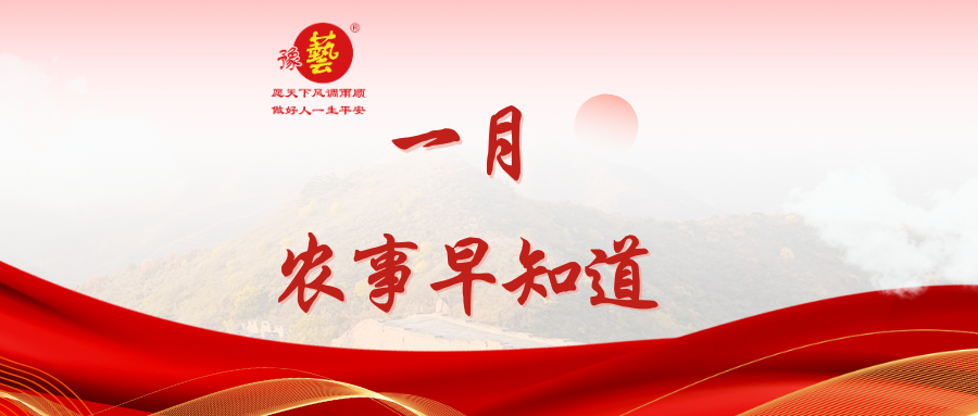 【種瓜種菜早知道】一月農事安排